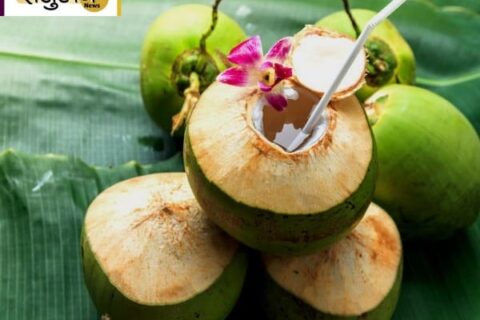 Coconut Water Benefits:
